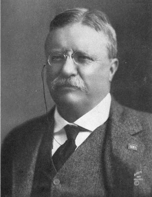 Theodore Roosevelt Theodore Roosevelt was the twenty-sixth President of the United States.