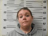 (4 counts) Criminal Mischief Unlawful Entry into a Motor Vehicle