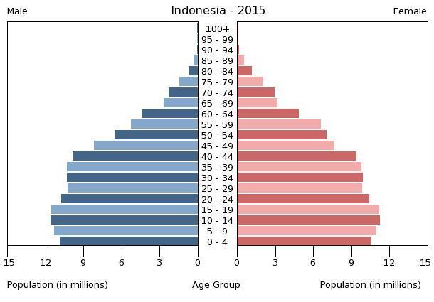 4 th Most Populous Country and 3 rd Largest Democracies in The World Total population in Indonesia is ~255 million people, 59% of which are in productive age (15-55 years).