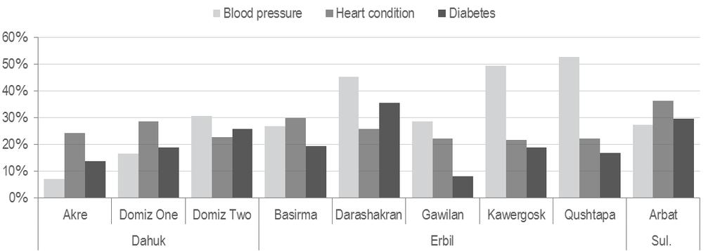 In comparison, of households with one or more members over the age of five suffering from a chronic illness, the most reported illnesses on average were high blood pressure (32%) and heart condition
