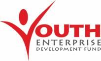 YOUTH ENTERPRISE DEVELOPMENT FUND P.O. BOX 48610-00100 NAIROBI TENDER FOR PROVISION OF MOTOR VEHICLE AND MOTOR CYCLE INSURANCE TENDER NO.