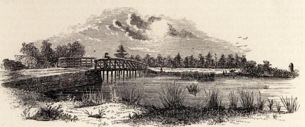 The Battle of Great Bridge The Battle of Great Bridge was the first land battle of the American Revolution