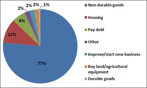 Figure 16: Use of Remittances among Migrants who Returned to Mexico between 1993 and 2010 consumption of non-durable goods and rent payments, 11% reported remittances are spent on housing (purchases