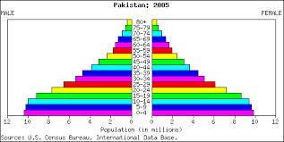 Population Demography Concepts #3: the population pyramid: How are