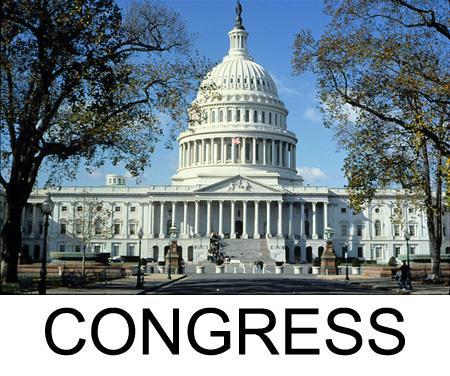 The Origin and Powers of Congress Bicameral problems w/ Representation (Great Compromise) Checks and balances Representation 535 members in Congress (Wash.