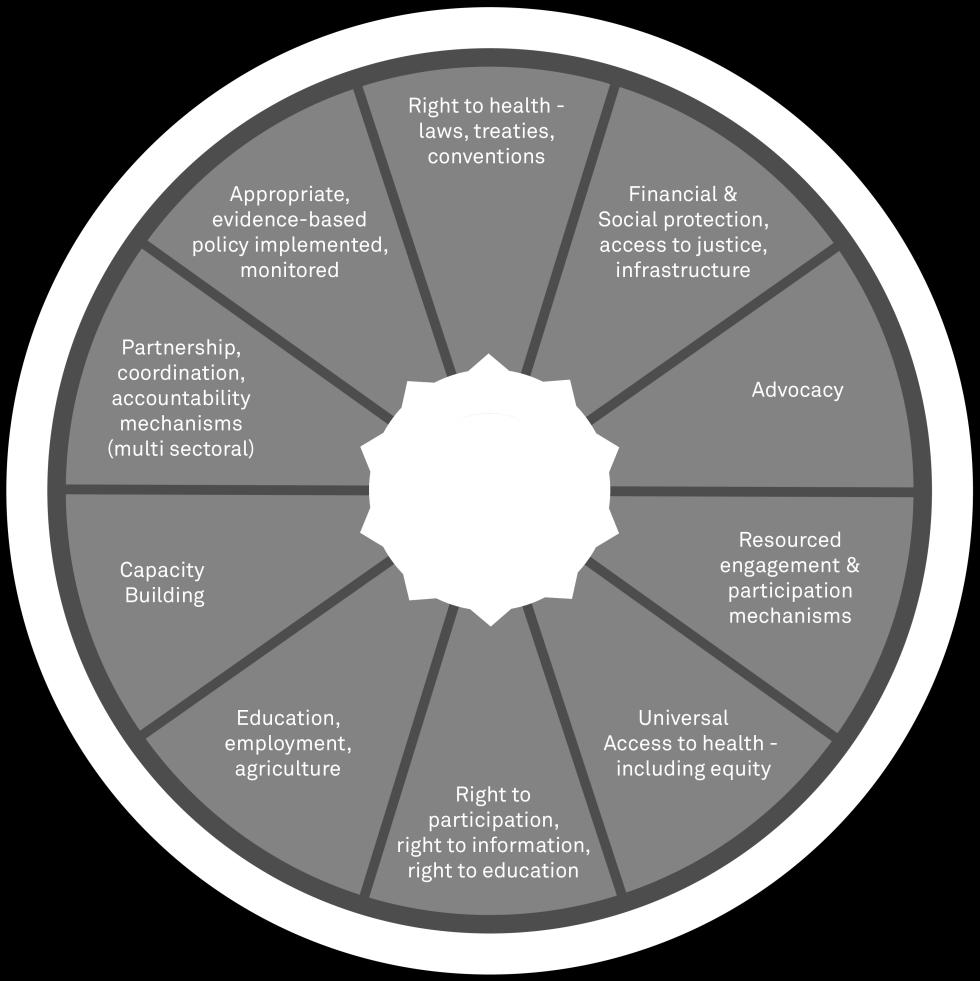 By promoting a multi-dimensional analysis (perhaps based on the analytic wheel below), the Human Security Approach is able to highlight the specific cluster of factors that contribute to ill health