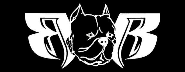 National Dog Division Logo Multi-Divisional Membership Defined as a member who is in 2 or more divisions of Ruff Ryders (i.e. Motorcycle, Dog Division and/ or Car and Truck).