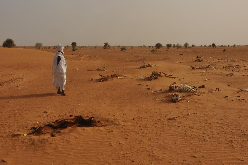 West Africa Food Crisis and Mali Refugee Problem Prepared by IHH Humanitarian Relief Foundation - Africa Desk Sahel region in Africa faces two major problems today.