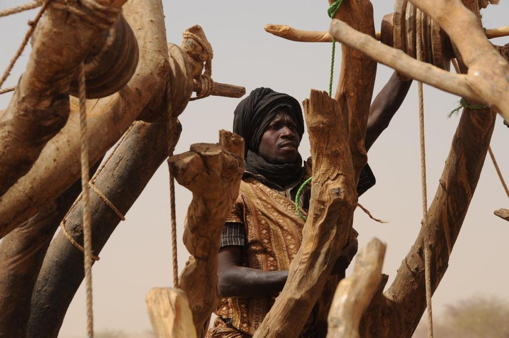 Since the beginning of 2012, International news channels have been announcing that Sahel countries in Africa face a new crisis created by regional drought.