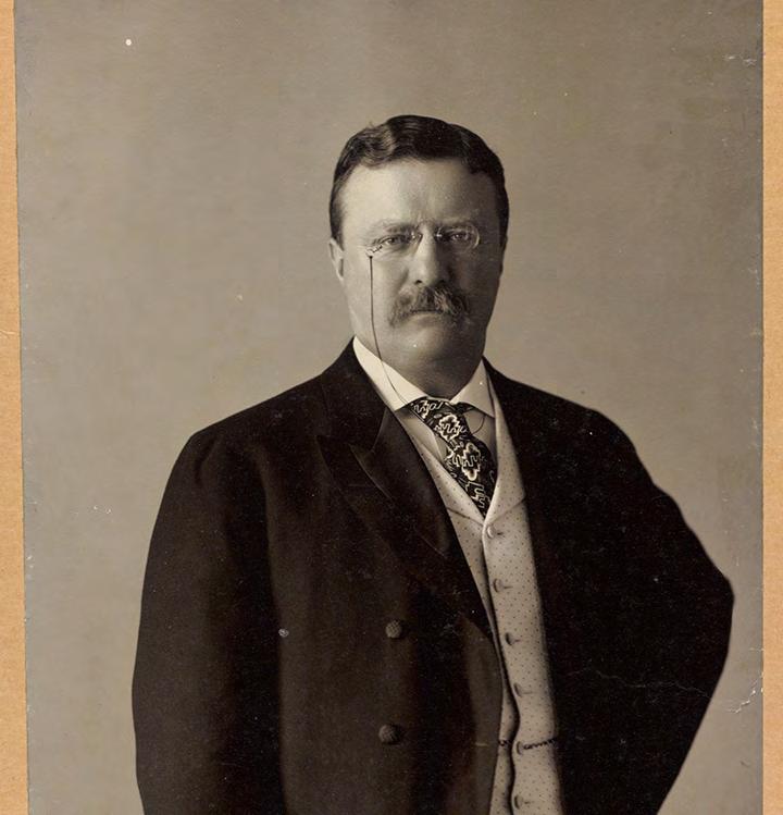 PRESIDENT THEODORE ROOSEVELT Speak softly and carry your mosquito repellent. Avoid mosquito bite
