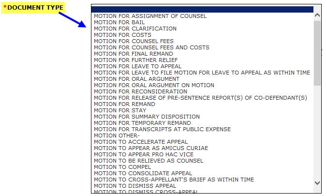 Figure 2: Motion Document Type Motion Text c. Add additional wording only if relief is not found in the motion drop down list. For example, a motion "other" or a due date for an extension. Be Brief.