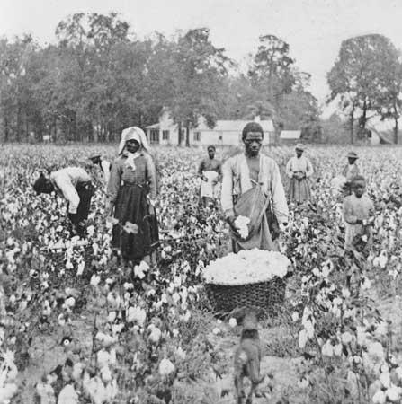 The Peculiar Institution Many white southerners felt slavery was vital to their economy.