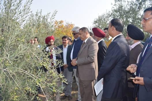 In his address Shri Shekhawat said that olive oil consumption has increased five times from last ten years and there is large probability for enhancing its acceptability due to high value index.