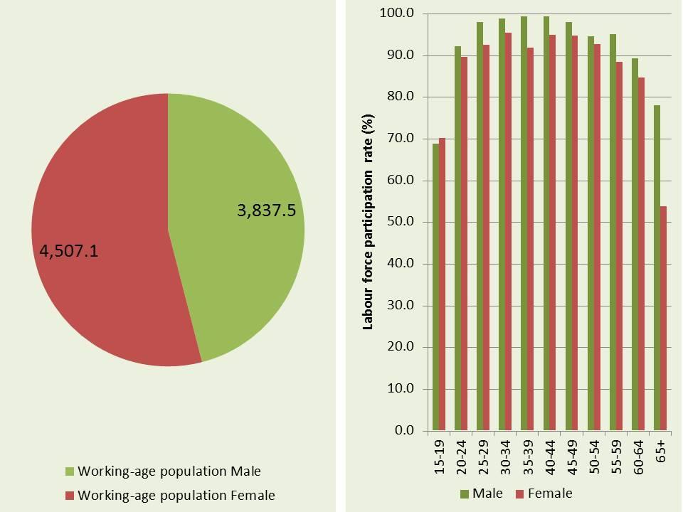 On the other hand, analysis of labour force survey data also show that in 2013 a large number of Malawi s men and women at working age were economically active subsistence foodstuff producers who did