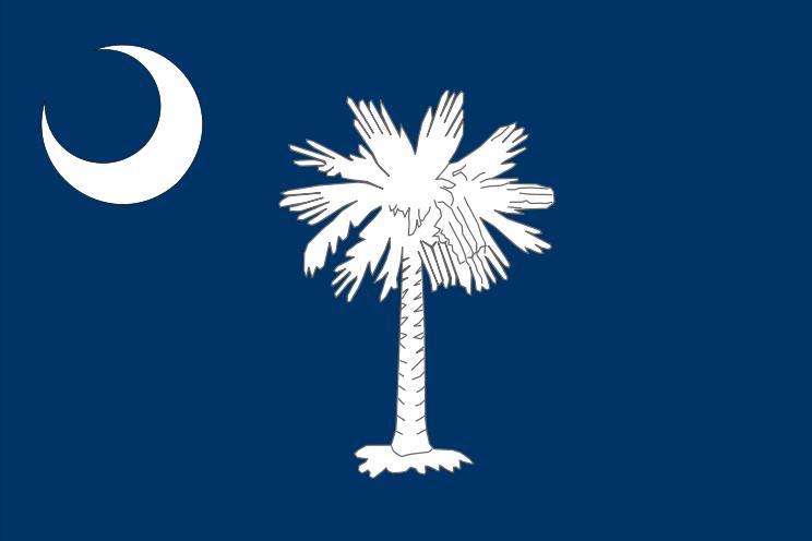 South Carolina s Response South Carolina passed the Nullification Act, declaring it would not pay the illegal tariffs of 1828 and 1832 South Carolina threatened to secede if the government interfered