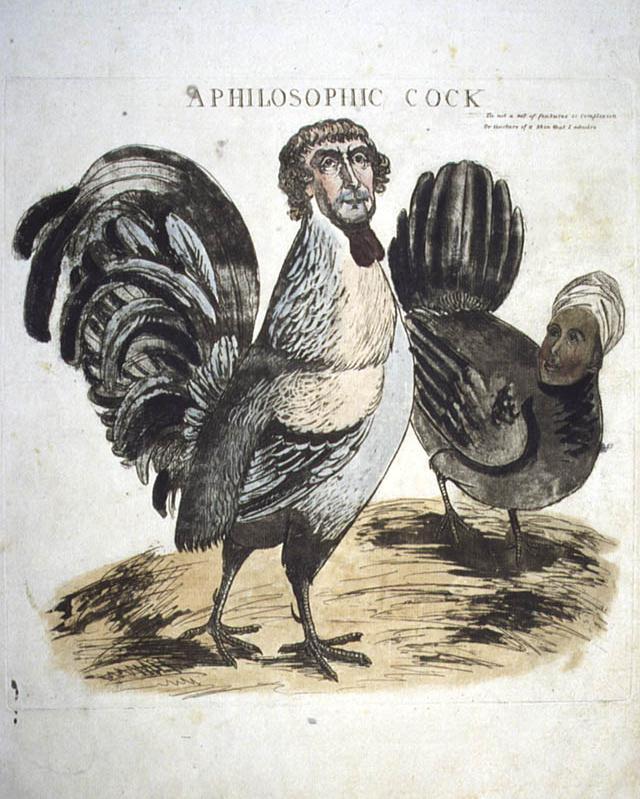 James Akin. "A Philosophic Cock," Newburyport, Massachusetts, c. 1804. Hand-colored aquatint.