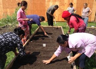 Green Shoots for New Americans This refugee agricultural program developed by Journey s End Refugee Services provides land for farmers to adapt their growing