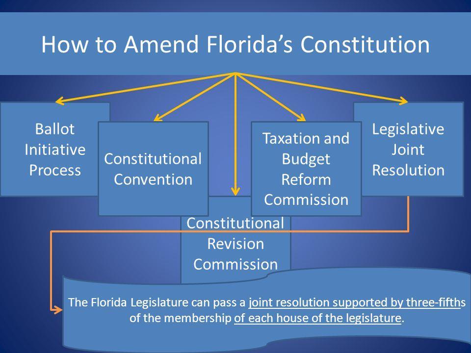 Florida Amendment Process Living Document Propose