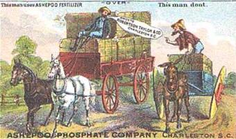 Other Industries The other major industry that developed was phosphate, which is used as fertilizer.