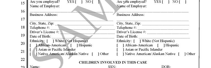 INSTRUCTIONS: STEP 1 Complete the Family Court Information Sheet as Shown: Do Not Copy Or File This Page 1 Print the