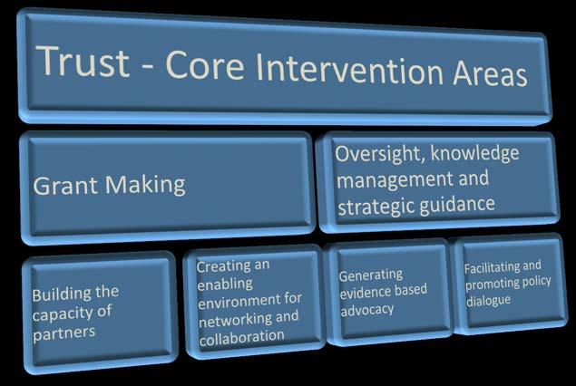 Figure 3: Core Intervention Areas for the Trust The individual partner organisation reports demonstrate that significant progress has been made in achieving the results set out in their grant