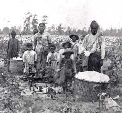 THE SOUTH BEFORE THE WAR Family working the cotton field on a Plantation Rural plantation economy Relied on slave