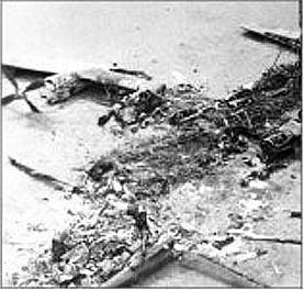 Failed Rescue Attempt Operation Eagle Claw April 1980 Daring plan was to rescue the hostages using helicopters, but one of the helicopters crashed en route and
