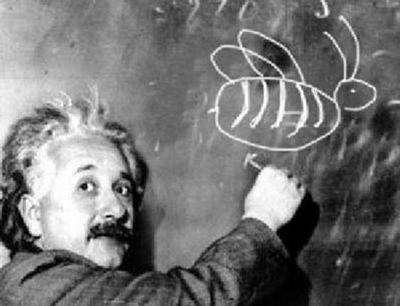 What did Einstein say about PISA?