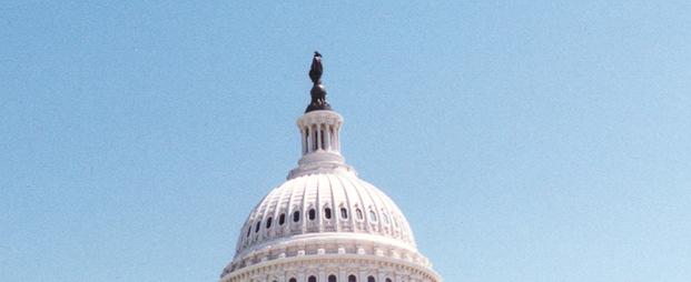 Checks and Balances On Legislative Branch On Congress Can