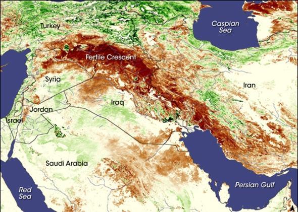 Syrian Agriculture: Post War Displaced farming populations, disru pted trade, and caused untold damage to the ecology. Syria suffers a drought.