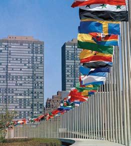 UN Global Marketplace United Nations Secretariat United Nations Secretariat Procurement Division (UNPD) Peacekeeping/political missions (DFS) United Nations Office at Geneva (UNOG) United Nations