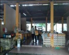 ECONOMIC ACTIVITIES Oil palm plantations and smallholdings provide an