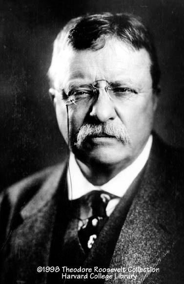 Why did Roosevelt return to the political arena?