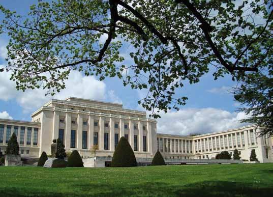 In Focus The Palais des Nations in summer.