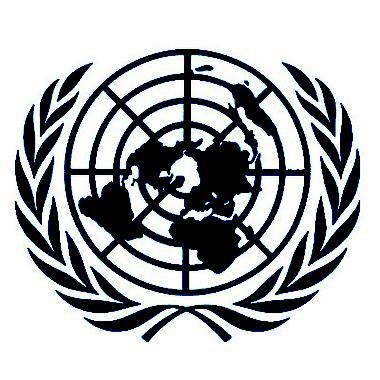 Chapter Six Draft Resolutions, Amendments, Reports & Statements Resolutions are the primary tools for action at the United Nations.