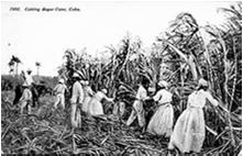 The Spanish American-War 4 Causes of the War: Sugar (Economic) Spanish Cruelties (Humanitarian) The Sinking of