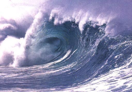 INTRODUCTION Tsunami Devastated the Western, Southern, Eastern