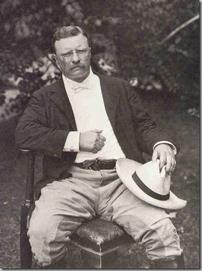 National Progressive Reform 1. Theodore Roosevelt, 1901-1908 and the New Nationalism Control Corporations (trust busting) 1902-04 Northern Securities Co.