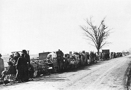 The Black American Experience This photograph depicts black sharecroppers forced off of farms by landlords eager to receive federal crop reduction subsidies as they gathered along Highway 60 in New