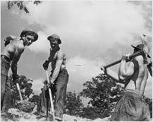 Civilian Conservation Corps (C.C.C.) The first New Deal project introduced in March 1933.