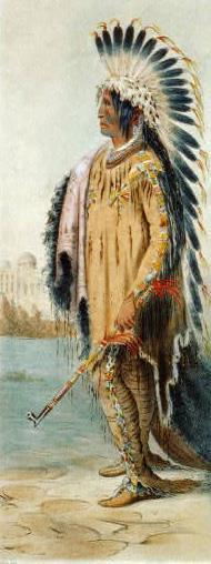 Native Americans and Early Westward Expansion Native Americans increasingly squeezed off their lands Pressure mounted to