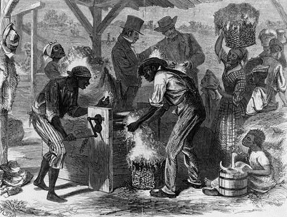 African Americans in the New Nation: Slaves Slaves using a cotton gin Cotton gin caused expansion in slavery Slaves composed a third