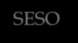 FAQ about SESO What is the SESO? Set of commitments and obligations the Company shall comply with and perform. SESO - EIA Instruction ECC?