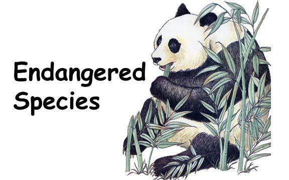 ENDANGERED SPECIES ACT Also created the Endangered Species Act of 1973 Fish and Wildlife Service had to created a