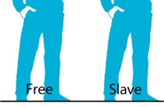 The compromise--slaves counted as 3/5 of a