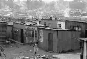 A. Apartheid Segregates Society 3. In 1959 the govt.
