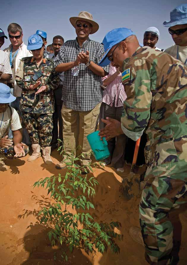 ALBERT GONZALEZ FARRAN, UNAMID UNAMID Civil Affairs and the National Forestry Corporation and the