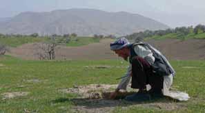 22) Using natural resources to provide emergency employment and livelihoods for former combatants: The UN Assistance Mission in Afghanistan (UNAMA) helped establish the Afghan Conservation Corps