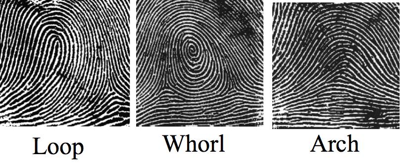 Example: Fingerprint features 7