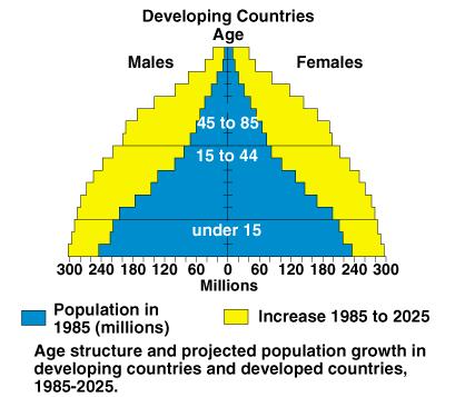 Population Age Structure Developing countries are expected to continue to have a pyramid shape through the year 2025, although the age structure will
